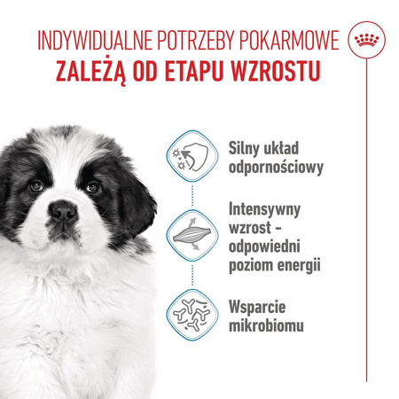 Royal Canin SHN Giant Puppy 15kg Karma Sucha Dla Szczeniąt Od 2 Do 8 Miesiąca Życia Ras Olbrzymich
