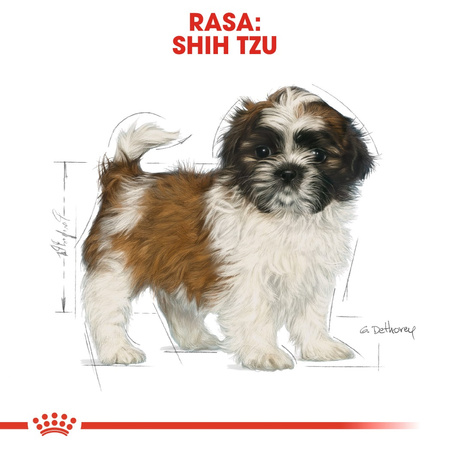 Royal Canin BHN Shih Tzu Puppy 1,5kg Karma Sucha Dla Szczeniąt Do 10 Miesiąca Rasy Shih Tzu
