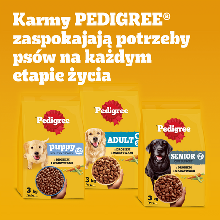Pedigree Professional Nutrition Adult Maxi 12kg Sucha Karma Dla Psów Ras Dużych Z Drobiem I Warzywami
