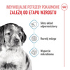 Royal Canin SHN Medium Puppy 15kg Karma Sucha Dla Szczeniąt Od 2 Do 12 Miesiąca Ras Średnich