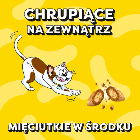 Dreamies z Pysznym Kurczakiem Mega Pack 4x180g Przysmaki dla kota