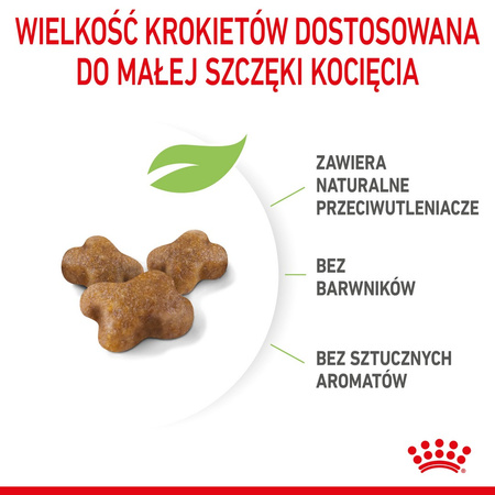 Royal Canin Fhn Kitten 10kg Karma Sucha Dla Kociąt +12x85g Mokra Karma w Sosie