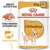 Royal Canin BHN Chihuahua Adult 12x85g Karma Mokra Pasztet Dla Psów Dorosłych Rasy Chihuahua