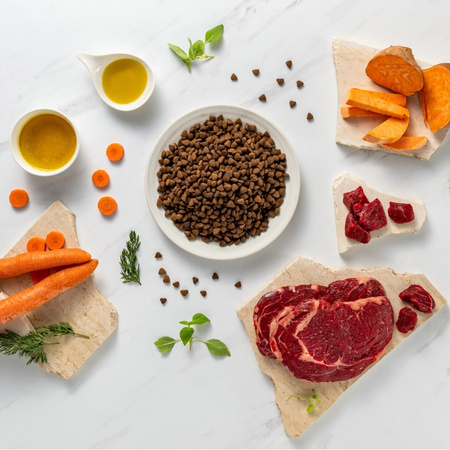 Raw Paleo Ultra Beef Medium&Large Adult 10kg Sucha Karma z Wołowiną Dla Psa