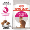 Royal Canin Exigent Savour Sensation 10kg Karma Sucha Dla Kotów Dorosłych Wybrednych Kierujących Się Teksturą Krokieta