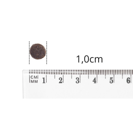 Baltica Adult XS/S 12kg Hipoalergiczna Sucha Karma Z Łososiem Dla Psów Miniaturowych i Małych Ras