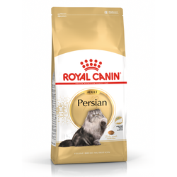 Royal Canin FBN Persian Adult 10kg Karma Sucha Dla Kotów Dorosłych Rasy Pers