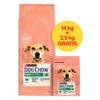 Purina Dog Chow Adult Light z Indykiem 14kg+2,5kg Gratis Sucha Karma Dla Dorosłych Psów