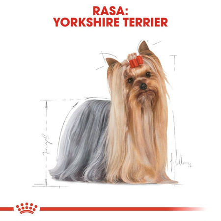 ROYAL CANIN Breed Health Nutrition ADULT YORKSHIRE TERRIER 3kg sucha karma dla yorka