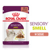 Royal Canin FHN Sensory Smell 12x85g Karma Mokra Kawałki W Sosie Dla Kotów Dorosłych Pobudzająca Wrażenia Węchowe