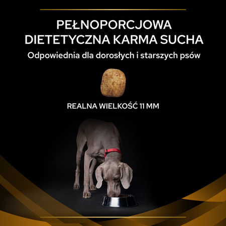 Purina Pro Plan Veterinary Diets NF Renal Function Sucha Karma Dla Psa 3kg Niewydolność Nerek