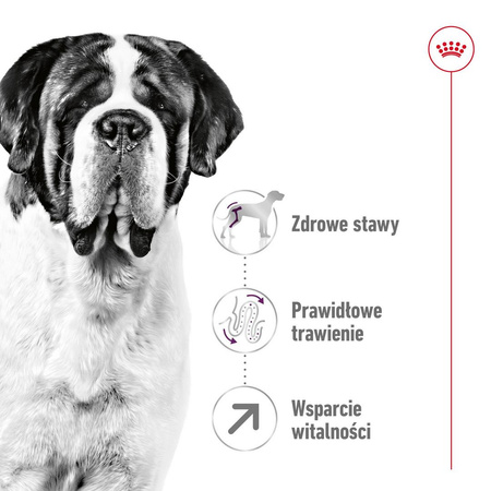 Royal Canin Giant Adult 15kg Karma Sucha Dla Psów Dorosłych Od 18/24 Miesiąca Życia Ras Olbrzymich
