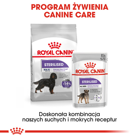 Royal Canin CCN Maxi Sterilised 12kg Karma Sucha Dla Psów Dorosłych Ras Dużych Sterylizowanych