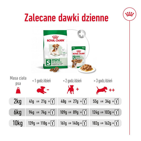 Royal Canin SHN Mini Adult 12+ 1,5kg Karma Sucha Dla Psów Dojrzałych Po 12 Roku Życia Ras Małych