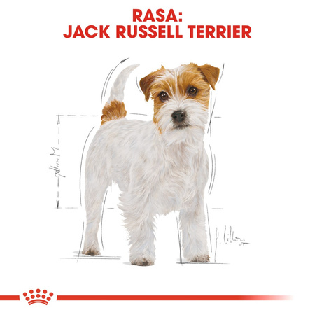 Royal Canin BHN Jack Russell Terrier Adult 7,5kg Karma Sucha Dla Psów Dorosłych Rasy Jack Russell Terrier
