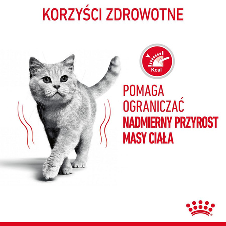 ROYAL CANIN Light Weight Care 12x85g Karma Mokra Dla Kotów z Tendencją Do Nadwagi Sos