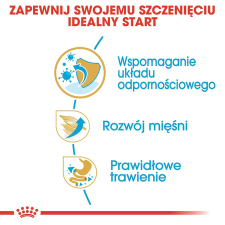 Royal Canin BHN Boxer Puppy 12kg Karma Sucha Dla Szczeniąt Do 15 Miesiąca Rasy Bokser