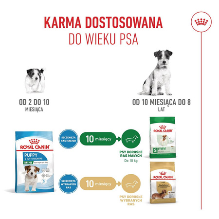 Royal Canin Mini Puppy 2kg Karma Sucha Dla Szczeniąt Od 2 Do 10 Miesiąca Życia, Ras Małych