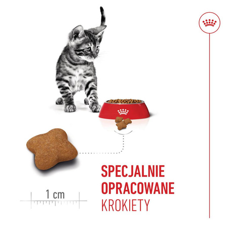 Royal Canin Kitten Sterilised 2kg Karma Sucha Dla Kociąt Sterylizowanych Od 4 Do 12 Miesiąca Życia