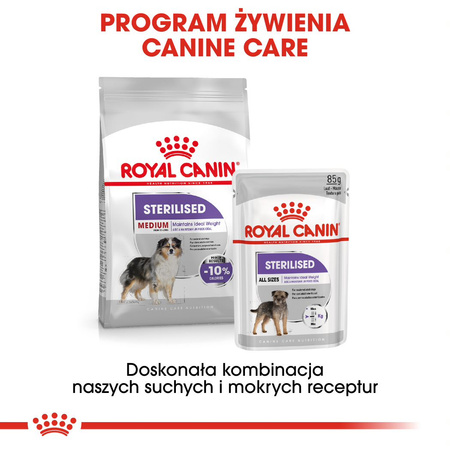 Royal Canin CCN Medium Sterilised 12kg Karma Sucha Dla Psów Dorosłych Ras Średnich Sterylizowanych