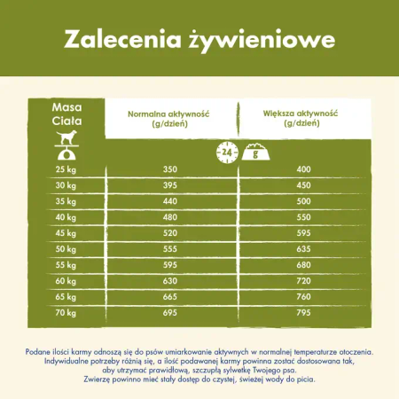 Purina Dog Chow Large Breed Adult 14kg Sucha Karma Dla Psów Dużych Ras z Indykiem