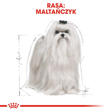 Royal Canin BHN Maltese Adult 1,5kg Karma Sucha Dla Psów Dorosłych Rasy Maltańczyk