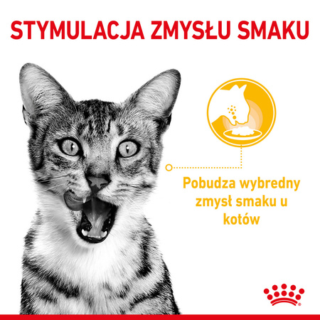 Royal Canin FHN Sensory Taste 12x85g Karma Mokra Kawałki W Sosie Dla Kotów Dorosłych Pobudzająca Wrażenia Smakowe