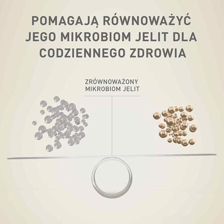 Purina One Mini Active 800g Sucha Karma Dla Psów Małych Ras Z Kurczakiem I Ryżem