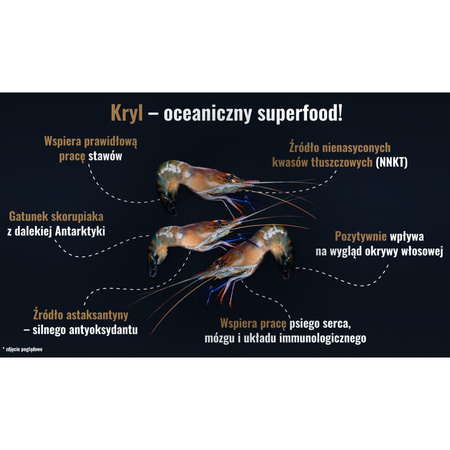 John Dog Berry Puppy Wołowina z Krylem 3kg Karma Sucha Dla Szczeniąt Średnich i Dużych Ras