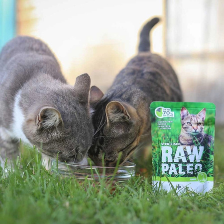 Vet Expert Raw Paleo Sterilised Game 100g Saszetka Karma Mokra z Dziczyzną Dla Kotów Sterylizowanych