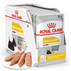 Royal Canin CCN Dermacomfort 12x85g Karma Mokra Pasztet Dla Psów Dorosłych O Wrażliwej Skórze Skłonnej Do Podrażnień