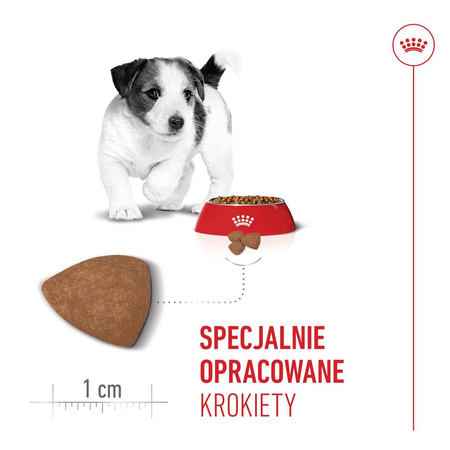 Royal Canin Mini Puppy 2kg Karma Sucha Dla Szczeniąt Od 2 Do 10 Miesiąca Życia, Ras Małych