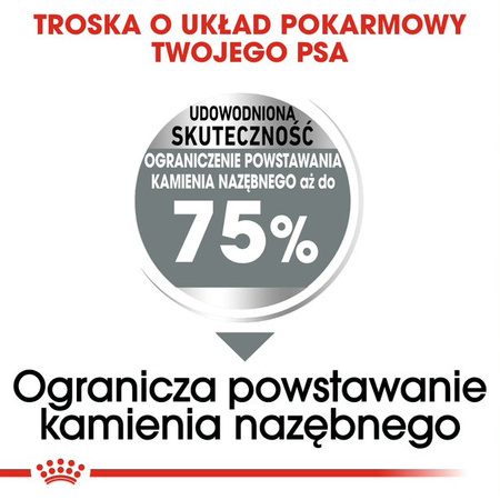 Royal Canin CCN Maxi Dental Care 9kg Karma Sucha Dla Psów Dorosłych Ras Dużych Redukująca Powstawanie Kamienia Nazębnego
