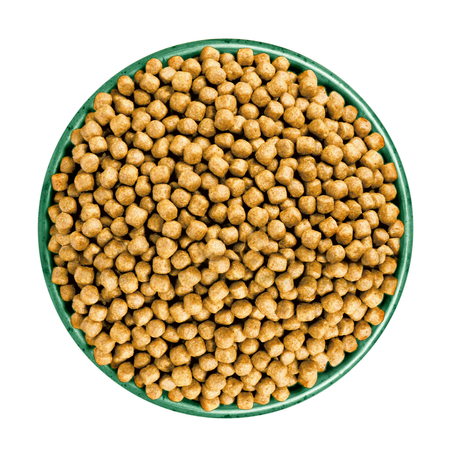 James Wellbeloved Adult 1,5kg Sucha Karma Pełnoporcjowa Dla Dorosłych Kotów Bogata W Indyka