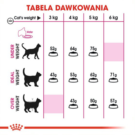 Royal Canin Exigent Protein Preference 10kg Karma Sucha Dla Kotów Dorosłych Wybrednych Kierujących Się Zawartością Białka