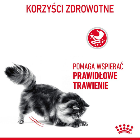 Royal Canin Digestive Care 2kg Karma Sucha Dla Kotów Dorosłych Wspomagająca Przebieg Trawienia