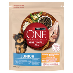 Purina ONE Mini Small Junior 800g Sucha Karma z Kurczakiem i Ryżem Dla Szczeniąt Małych Ras