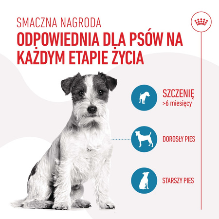 Royal Canin Training Treats 110g Przysmak Dla Psów Ułatwiający Proces Szkolenia