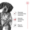 Royal Canin Medium Adult 7+ Lat 15kg Karma Sucha Dla Psów Starszych Od 7 Do 10 Roku Życia Ras Średnich