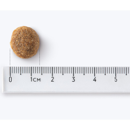 John Dog Good Form Karma Sucha Dla Psów Średnich I Dużych Ras Z Cielęciną I Jagnięciną 12kg