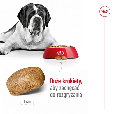 Royal Canin Giant Adult 15kg Karma Sucha Dla Psów Dorosłych Od 18/24 Miesiąca Życia Ras Olbrzymich