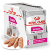 Royal Canin CCN Exigent 12x85g Karma Mokra Pasztet Dla Wybrednych Psów Dorosłych