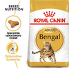 Royal Canin FBN Bengal Adult 10kg Karma Sucha Dla Kotów Dorosłych Rasy Bengalskiej Powyżej 12 Miesiąca Życia