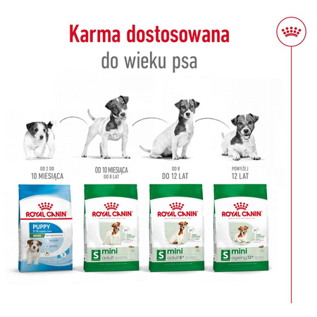 Royal Canin SHN Mini Adult 12+ 1,5kg Karma Sucha Dla Psów Dojrzałych Po 12 Roku Życia Ras Małych