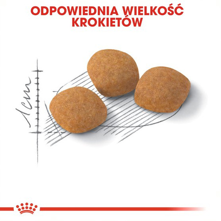 Royal Canin Exigent Protein Preference 10kg Karma Sucha Dla Kotów Dorosłych Wybrednych Kierujących Się Zawartością Białka