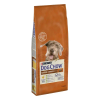 Purina Dog Chow Mature Senior 14kg Sucha Karma Dla Starszych Psów z Kurczakiem