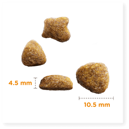 Sucha Karma Iams for Vitality Dla Dorosłych Kotów Ze Świeżym Kurczakiem 10kg