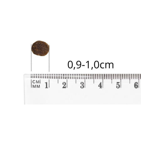 Baltica Adult Jagnięcina z Ryżem XS/S 9kg Hipoalergiczna Sucha Karma Dla Psów Miniaturowych i Małych Ras