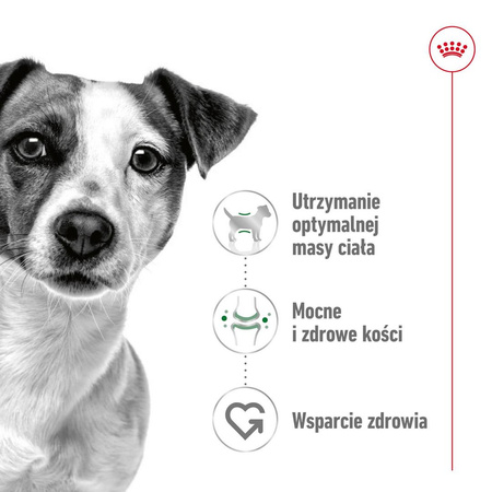 Royal Canin Mini Adult 8kg Karma Sucha Dla Psów Dorosłych Ras Małych