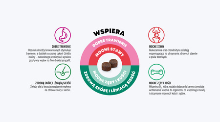 John Dog GOOD FORM ADULT Wieprzowina z Wołowiną 3kg Średnie i Duże Rasy - sucha karma dla psów